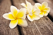 Fleurs de frangipanier, fond bois