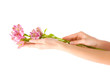 Hand and flower