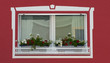 Fenster