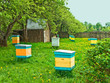 beehives