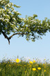 Frühling Szenerie