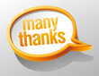Many thanks shiny glass speech bubble.