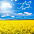 Mit Liebe zur Landwirtschaft