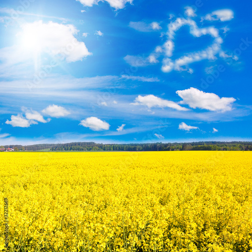 Photo: Mit Liebe zur Landwirtschaft Mit Liebe zur Landwirtschaft