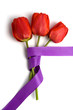 Red tulips