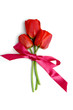 Red flowers