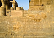 Hieroglyphs of bidders in Kom Ombo temple