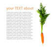 Carrot