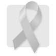 Awareness Ribbon - Grey Silver