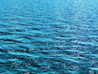Photo: water surface water surface
