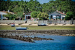 Cap Ferret