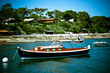 Cap Ferret