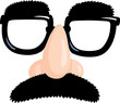 Disguise