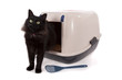 Photo en ligne au meilleur prix Cat using a closed litter box isolated on white background.