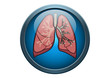 Anatomy of Human Lung Illustration Medical Button Concept in Vec