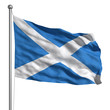 Illustration: Flag of Scotland Flag of Scotland