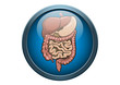 Anatomy of Stomach Human Organ Illustraion Medical Button Concep