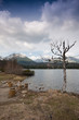 Strbske pleso lake Strbske pleso lake