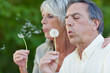 ehepaar pustet pusteblume