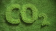 Video: CO2 symbol growing in grass CO2 symbol growing in grass