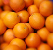 Oranges background