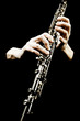 Oboe musical instrument of symphony orchestra.