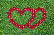 Two hearts on green