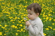 Boy blowing on the dandelion