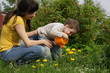 Boy watered plants