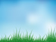 Natur Natur