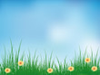 Natur Natur