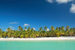 Palms on tropical beach