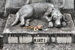 Dog grave in Havana, Cuba