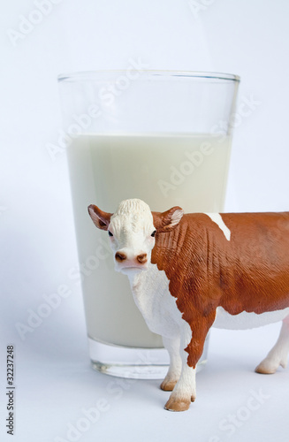 Foto: Milchkuh mit Glas III Milchkuh mit Glas III