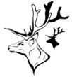 deer head vector