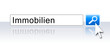 Internet Suche Blau - Immobilien