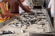 Industria ittica