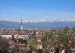 Turin view