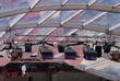 festival de cannes