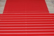 festival de cannes festival de cannes