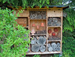 Insektenhaus