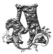 Letter 3D