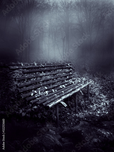 Photo: Gothic Nights Gothic Nights