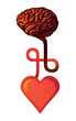 connection between heart and brain - illustration
