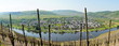 Pünderich an der Mosel