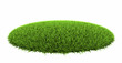 Grass Arena