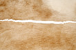 Photo: Aged leather texture with a large crack in it Aged leather texture with a large crack in it