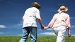 Video: mature couple in hats goes by green grass in summer mature couple in hats goes by green grass in summer