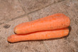 carottes