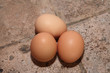oeufs